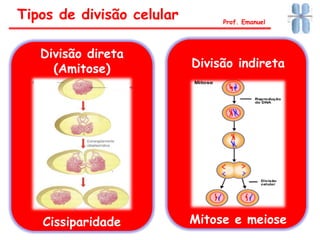 Tipos de divisão celular Prof. Emanuel
Divisão direta
(Amitose)
Cissiparidade
Divisão indireta
Mitose e meiose
 