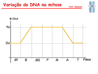 Variação do DNA na mitose Prof. Emanuel
 