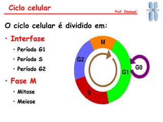 O ciclo celular é dividido em:
• Interfase
• Período G1
• Período S
• Período G2
• Fase M
• Mitose
• Meiose
Ciclo celular Prof. Emanuel
 