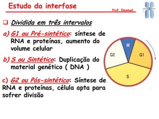  Dividida em três intervalos
a) G1 ou Pré-sintético: síntese de
RNA e proteínas, aumento do
volume celular
b) S ou Sintético: Duplicação do
material genético ( DNA )
c) G2 ou Pós-sintético: Síntese de
RNA e proteínas, célula apta para
sofrer divisão
Estudo da interfase Prof. Emanuel
 
