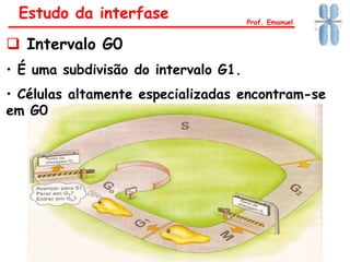 Estudo da interfase
 Intervalo G0
• É uma subdivisão do intervalo G1.
• Células altamente especializadas encontram-se
em G0
Prof. Emanuel
 