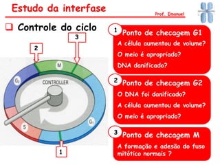 1
Estudo da interfase
 Controle do ciclo
Prof. Emanuel
Ponto de checagem G1
2
3
A célula aumentou de volume?
O meio é apropriado?
DNA danificado?
1
Ponto de checagem G22
O DNA foi danificado?
A célula aumentou de volume?
O meio é apropriado?
Ponto de checagem M3
A formação e adesão do fuso
mitótico normais ?
 