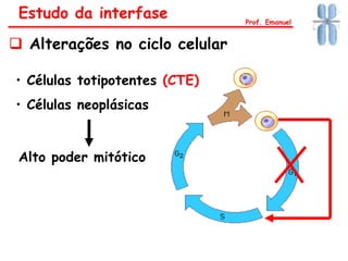 Estudo da interfase
 Alterações no ciclo celular
Prof. Emanuel
• Células totipotentes (CTE)
• Células neoplásicas
Alto poder mitótico
 
