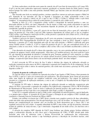 Os freios moleculares envolvidos neste ponto de controle são p53 (um fator de transcrição) e p21 (uma CIP).
O p53 é um dos mais conhecidos supressores tumorais, geralmente se encontra dentro da célula, porém é muito
instável porque fica unido a uma outra proteína chamada Mdm2, que funciona como um marcador para que p53
se degrade.
Mas havendo uma lesão no material genético, enzimas específicas entram em ação para separar a Mdm2 do
p53. Separado de seu marcador, p53 não se degrada e permanece na célula, aumentando assim a sua
concentração, isso estimula a síntese de p21 a qual se une a CDK2 e Ciclina E, inibindo então a ação deste
complexo. A consequência dessa cadeia de acontecimentos é a parada do ciclo celular em G1.
Durante as fases G1 e G2 o maquinário celular verifica a integridade do material genético e, uma vez
detectados defeitos no DNA, um sinal é disparado a fim de manter a célula num estado estacionário no qual ela
tentará corrigir os erros encontrados. Esse mecanismo depende da proteína p53, sendo ela, por esse motivo,
considerada a guardiã do genoma.
No início do ciclo mitótico, o gene p53, através do seu fator de transcrição, ativa o gene p21, induzindo à
síntese da proteína p21. Esta inibe a ação de CDKs (quinases dependentes de ciclina), pois se une ao complexo
CDK2-ciclina, o que bloqueia a inativação de Rb e, assim, promove a parada do ciclo celular em G1, a fim de que
o DNA danificado possa ser reparado.
Também o processo de reparo é dependente de p53, pois esta proteína é responsável pela ativação do gene
GrowthArrest DNA DamageInducille (GADD-45) que atua corrigindo a lesão no DNA. Quando o reparo é
finalizado, a proteína p53 é então degradada pela ação de uma outra proteína, a MDM-2, codificada pelo gene
mouse Double minute 2 (mdm-2). A p53 se separa do promotor do gen 21, que, por conseqüência deixa de ser
sintetizado e reduz os seus níveis. Assim o complexo cdk2-ciclina volta a sua atividade reconduzindo a célula ao
ciclo4
.
Uma alternativa de atuação da p53 a danos não reparados, caso a via com a proteína pRb não esteja intacta, é
a indução da apoptose (morte celular programada). Além disso, p53 também promove um check point de S para
G2, que depende da integridade do domínio C-terminal do gene. Portanto, quando p53 sofre mutações, as células
com danos no DNA, que por um processo de seleção natural favorável, podem desencadear a transformação
maligna, escapam do reparo destes danos e de sua destruição, podendo iniciar um clone maligno4
.
O nível crescente de FPS no início da fase S induz à abertura das origens de replicação, ativando as
moléculas responsáveis pela síntese de DNA e induzindo à separação do Complexo Pre-R do componente Cdc 6p
e MCM. Dá-se início então à síntese do material genético, não sendo mais necessária a presença do FPS, sendo
degrada a ciclina E5
.
Controle do ponto de verificação em G2
No final da mitose ocorre o aumento na expressão da ciclina E que ligada a CDK2 forma o fator promotor da
fase S (FPS), o qual só é ativo em cromossomos pré-replicativos. São denominados desta forma por possuírem
sobre cada origem de replicação um complexo conhecido como pré-replicativo. Nas origens de replicação
encontra-se a sequencia de replicação autônoma, a esta se une o Complexo de Reconhecimento de Origem de
Replicação (ORC)5
.
O aumento do FPS induz à abertura das origens de replicação ativando as moléculas responsáveis pela
síntese de DNA e provocando a separação do complexo Pré-replicativodo componente CDC6 e MCM (Proteínas
de Manutenção do Microssoma). Assim se inicia a replicação do material genético, não sendo mais necessário o
complexo promotor da fase S que têm o seu componente mais frágil, a ciclina E, degradado5
.
A fase G2 é o segundo momento no qual a célula avalia a integridade do material genético, aqui já duplicado,
e se prepara para a mitose. A transição de G2 para M requer a formação de um complexo CDK1-ciclinaB, que
constituem o chamado Fator de Promoção da Mitose (MPF).
Estudos com anfíbios revelaram que o MPF destes consistia num complexo proteíco de duas subunidades,
sendo uma delas uma quinaseproteíca com elevada homologia com a cdc2 de levedura. A clonagem do gene cdc2
humano por complementação do mutante cdc2 em levedura de fissão demonstrou que a cinase cdc2 é um
regulador universal do ciclo celular. A segunda subunidade do MPF é uma ciclina, um tipo de proteína, entretanto
isolada de embriões de ouriço-do-mar, e que é sintetizada e degradada de um modo cíclico, em sincronia com o
ciclo celular6
.
A ativação do complexo MPF depende de Cdc25 (uma fosfatase que elimina grupos fosfatos inibidores
unidos a aminoácidos ubicados no sítio chave para o funcionamento da CDK). O MPF ativado pode então
fosforilar uma série de substratos como a histona H1envolvida na condensação dos cromossomos,
lamininaubicada na membrana nuclear e cuja fosforilação provoca a dissolução do envoltório nuclear, entre
 