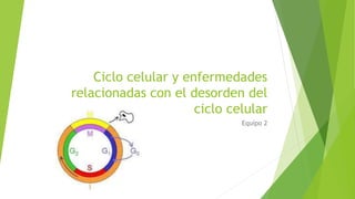 Ciclo celular y enfermedades 
relacionadas con el desorden del 
ciclo celular 
Equipo 2 
 