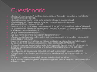    ¿Qué es un cromosoma?, explique cómo está conformado y describa su morfología
    vista al microscopio óptico.
   ¿Qué diferencias existen entre la heterocromatina y la eucromatina?
   ¿Qué diferencias puede señalar entre los cromosomas metacéntricos,
    submetacéntricos y acrocéntricos?
   En un cromosoma que se encuentra en metafase, ¿Cuántas moléculas de ADN tiene?
   De acuerdo a los resultados del Proyecto Genoma Humano, ¿cuántos genes existen en
    el ADN de la especie humana?
   ¿A que se denomina cariotipo?
   ¿De qué forma ocurre la replicación de los telómeros?
   ¿Cuáles son las fases del ciclo celular, qué ocurre en cada una de ellas y cómo están
    reguladas por la célula?
   En un mismo organismo, ¿todas las células se dividen al mismo tiempo? ¿Es igual la
    duración del ciclo celular en los distintos tipos celulares? EJEMPLIFIQUE
   ¿Existe alguna relación entre el envejecimiento celular (senescencia) y el número de
    divisiones celulares que ha sufrido una célula? Correlaciónelo con la actividad
    telomerasa.
   ¿Qué tipos de división celular conoce? ¿En qué se asemejan y en qué difieren?
   ¿En qué etapas se divide a la mitosis para su estudio y qué sucede en cada una de
    ellas?
   Realice un cuadro resumen de las etapas de le mitosis y meiosis
   A que se denomina ovogénesis y espermatogénesis, donde se realiza y en que etapas
    se lleva a cabo
 