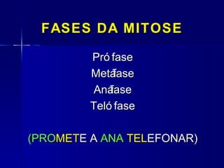 FASES DA MITOSE

         Pró fase
         Metá fase
          Anáfase
         Teló fase

(PROMETE A ANA TELEFONAR)
 
