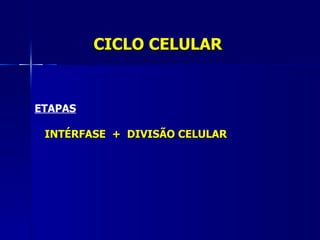CICLO CELULAR


ETAPAS

 INTÉRFASE + DIVISÃO CELULAR
 