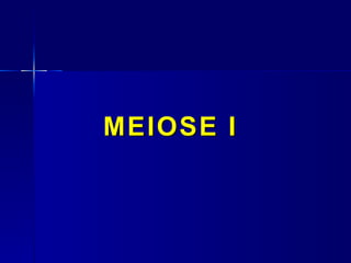 MEIOSE I
 