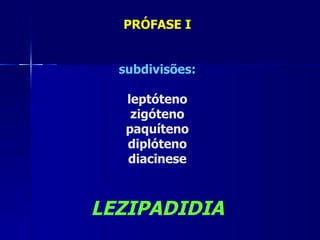 PRÓFASE I


  subdivisões:

   leptóteno
    zigóteno
   paquíteno
   diplóteno
   diacinese



LEZIPADIDIA
 