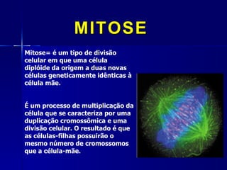 MITOSE
Mitose= é um tipo de divisão
celular em que uma célula
diplóide da origem a duas novas
células geneticamente idênticas à
célula mãe.


É um processo de multiplicação da
célula que se caracteriza por uma
duplicação cromossômica e uma
divisão celular. O resultado é que
as células-filhas possuirão o
mesmo número de cromossomos
que a célula-mãe.
 
