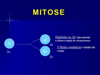 MITOSE


                 Diplóide ou 2n=que possue
       46        o número duplo de cromossomos
46          2n
                  Células somáticas=células do
2n    46          corpo

            2n
 