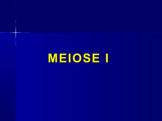 MEIOSE IMEIOSE I
 