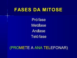 FASES DA MITOSEFASES DA MITOSE
Pró fasePró fase
MetáfaseMetáfase
AnáfaseAnáfase
Teló faseTeló fase
(PRO(PROMETMETE AE A ANAANA TELTELEFONAR)EFONAR)
 