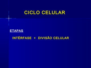 CICLO CELULARCICLO CELULAR
ETAPAS
INTÉRFASE + DIVISÃO CELULARINTÉRFASE + DIVISÃO CELULAR
 