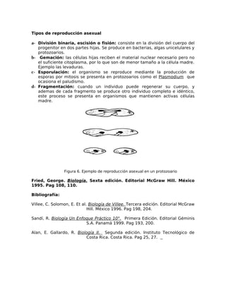 Tipos de reproducción asexual
a- División binaria, escisión o fisión: consiste en la división del cuerpo del
progenitor en...