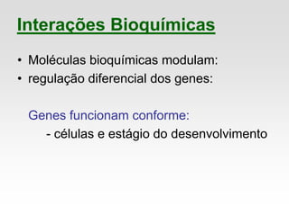 Interações Bioquímicas
• Moléculas bioquímicas modulam:
• regulação diferencial dos genes:
Genes funcionam conforme:
- células e estágio do desenvolvimento
 