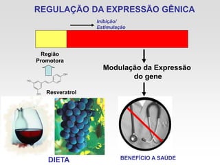 REGULAÇÃO DA EXPRESSÃO GÊNICA
Região
Promotora
Modulação da Expressão
do gene
Inibição/
Estimulação
Resveratrol
DIETA BENEFÍCIO A SAÚDE
 