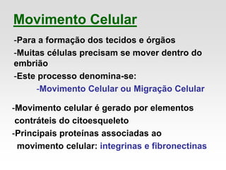 Movimento Celular
-Para a formação dos tecidos e órgãos
-Muitas células precisam se mover dentro do
embrião
-Este processo denomina-se:
-Movimento Celular ou Migração Celular
-Movimento celular é gerado por elementos
contráteis do citoesqueleto
-Principais proteínas associadas ao
movimento celular: integrinas e fibronectinas
 