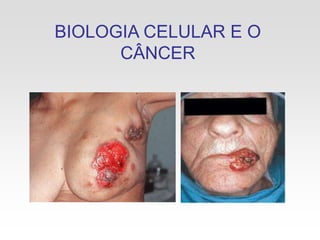 BIOLOGIA CELULAR E O
CÂNCER
 