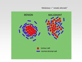 Metástase = “ estado alterado”
 