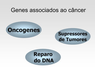 Genes associados ao câncer
Oncogenes
Supressores
de Tumores
Reparo
do DNA
 