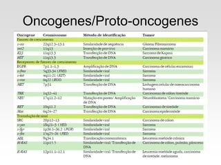 Oncogenes/Proto-oncogenes
 