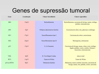 Genes de supressão tumoral
Gene Localização Câncer hereditário Câncer esporádico
RB1 13q14 Retinoblastoma Retinoblastoma, carcinoma de bexiga, mama, esôfago,
pulmão, osteossarcoma
APC 5q21 Polipose adenomatosa familiar Carcinoma de cólon, reto, pâncreas e estômago
NF1 17q11 Neurofibromatose tipo I Carcinoma de cólon e astrocinoma
NF2 22q12 Neurofibromatose tipo II Meningioma, schwanoma
p53 17p13 S. Li-Fraumeni Carcinoma de bexiga, mama, cólon e reto, esôfago,
fígado, pulmão, ovário, cérebro, lifomas e
leucemias, osteossarcoma
VHL 3p25 D. Von-Hippel Lindau câncer renal
WT1 11p13 Tumor de Wilms Tumor de Wilms
p16 ou MTS1 9p21 Melanoma familiar Melanoma, tumor cerebral, leucemia, carcinoma de
bexiga, mama, rins, pulmão, ovário, sarcomas
 