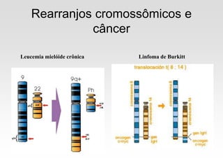 Rearranjos cromossômicos e
câncer
Leucemia mielóide crônica Linfoma de Burkitt
 