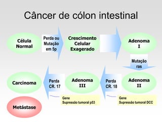 Perda ou
Mutação
em 5p
Câncer de cólon intestinal
Perda
CR. 18
Célula
Normal
Crescimento
Celular
Exagerado
Adenoma
I
Mutação
ras
Adenoma
II
Adenoma
III
Gene
Supressão tumoral DCC
Carcinoma Perda
CR. 17
Gene
Supressão tumoral p53
Outras
Perdas
Metástase
 