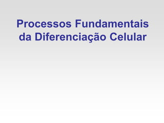 Processos Fundamentais
da Diferenciação Celular
 
