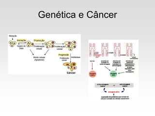 Genética e Câncer
 