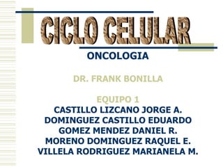 CICLO CELULAR ONCOLOGIA  DR. FRANK BONILLA  EQUIPO 1  CASTILLO LIZCANO JORGE A.  DOMINGUEZ CASTILLO EDUARDO  GOMEZ MENDEZ DANIEL R.  MORENO DOMINGUEZ RAQUEL E.  VILLELA RODRIGUEZ MARIANELA M.  