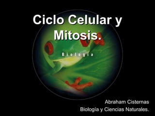 Ciclo Celular y
   Mitosis.



                  Abraham Cisternas
       Biología y Ciencias Naturales.
 