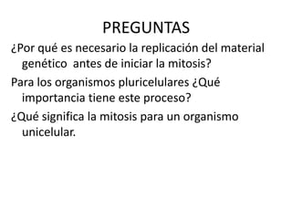 PREGUNTAS¿Por qué es necesario la replicación del material genético  antes de iniciar la mitosis?Para los organismos pluricelulares ¿Qué importancia tiene este proceso?¿Qué significa la mitosis para un organismo unicelular.