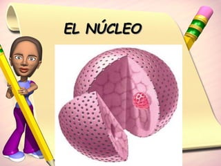 EL NÚCLEO 
 