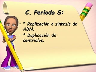 C. Período S: 
• * Replicación o síntesis de 
ADN. 
• * Duplicación de 
centriolos. 
 