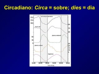 Circadiano:  Circa  = sobre;  dies  = dia 