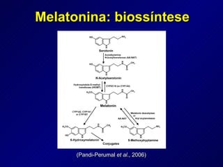 Melatonina: biossíntese (Pandi-Perumal  et al ., 2006) 