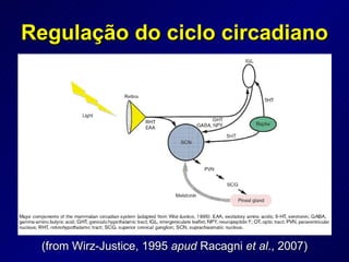 Regulação do ciclo circadiano (from Wirz-Justice, 1995  apud  Racagni  et al ., 2007) 