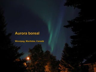 Aurora boreal Winnipeg, Manitoba, Canadá 