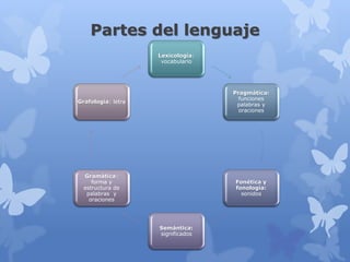 Partes del lenguaje
                    Lexicología:
                     vocabulario




                                   Pragmática:
                                     funciones
Grafología: letra
                                    palabras y
                                     oraciones




  Gramática:
     forma y                       Fonética y
  estructura de                    fonología:
   palabras y                        sonidos
    oraciones




                    Semántica:
                    significados
 