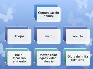 Comunicación
               animal




 Abejas        Perro          zorrillo




  Baile:    Mover cola:
                           Olor: delimita
localizan   agresividad,
                             territorio
alimento      alegría
 