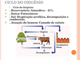CICLO DO OXIGÊNIO
       Ciclo do Oxigênio
   . Reservatório: Atmosfera – 21%.
   . Entra: Fotossíntese
   . Sai: Respiração aeróbica, decomposição e
    combustão.
   . Atuação do homem: Camada de ozônio
 