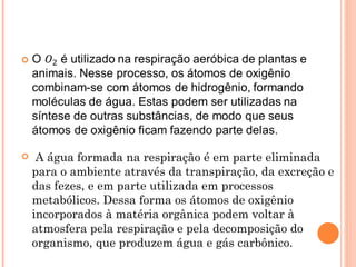     A água formada na respiração é em parte eliminada
    para o ambiente através da transpiração, da excreção e
    das fezes, e em parte utilizada em processos
    metabólicos. Dessa forma os átomos de oxigênio
    incorporados à matéria orgânica podem voltar à
    atmosfera pela respiração e pela decomposição do
    organismo, que produzem água e gás carbônico.
 