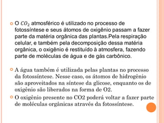  A água também é utilizada pelas plantas no processo
  da fotossíntese. Nesse caso, os átomos de hidrogênio
  são aproveitados na síntese da glicose, enquanto os de
  oxigênio são liberados na forma de O2.
 O oxigênio presente no CO2 poderá voltar a fazer parte
  de moléculas orgânicas através da fotossíntese.
 