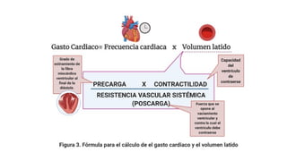 ciclo cardiaco, determinantes y formulas | PPTX