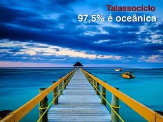 97,5% é oceânica
Talassociclo
 