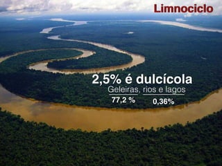 Limnociclo
2,5% é dulcícola
Geleiras, rios e lagos
77,2 % 0,36%
 