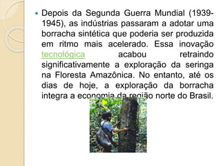  Depois da Segunda Guerra Mundial (1939-
1945), as indústrias passaram a adotar uma
borracha sintética que poderia ser produzida
em ritmo mais acelerado. Essa inovação
tecnológica acabou retraindo
significativamente a exploração da seringa
na Floresta Amazônica. No entanto, até os
dias de hoje, a exploração da borracha
integra a economia da região norte do Brasil.
 